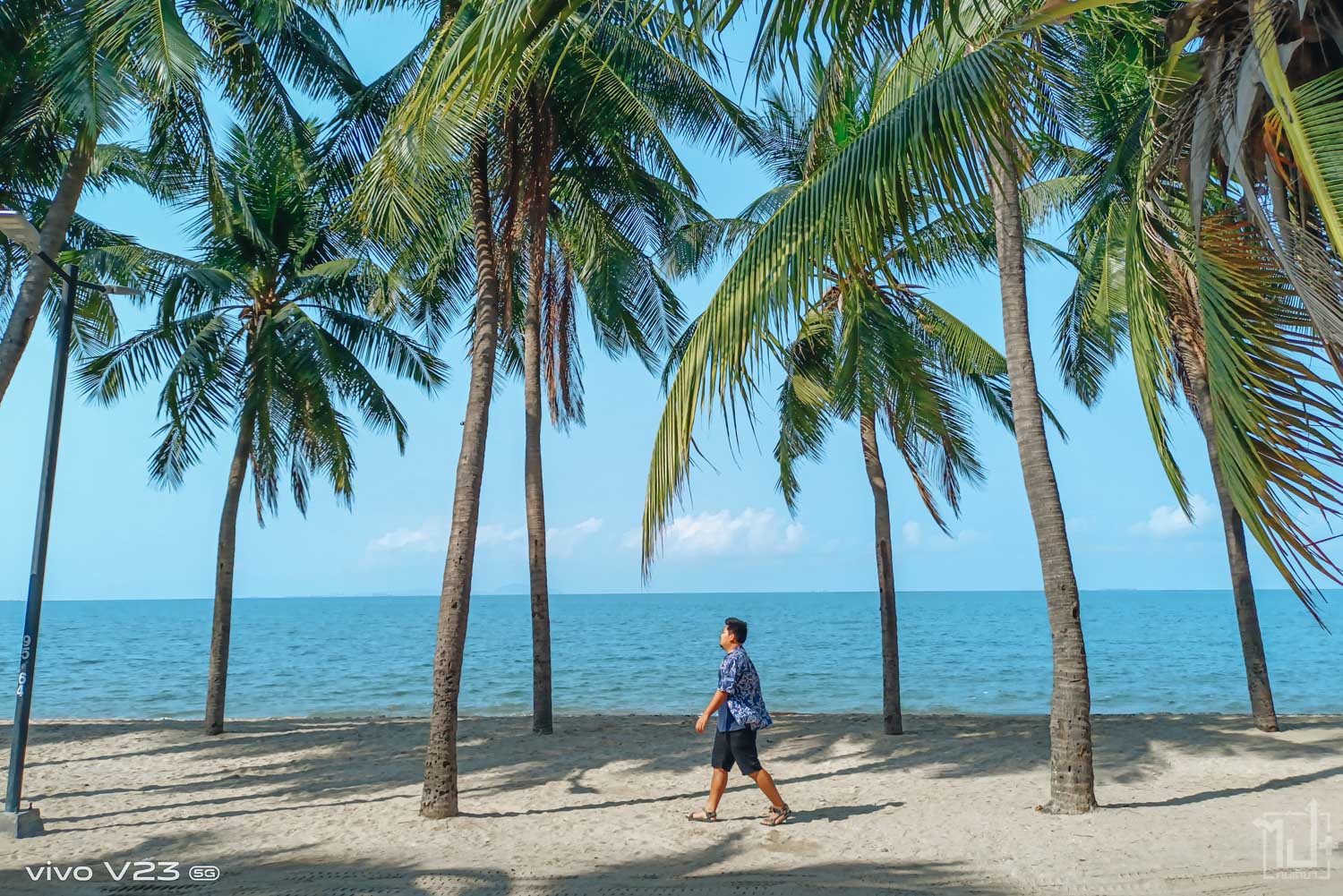 แพลนเที่ยว หาดบางแสน (จังหวัดชลบุรี) 2567 น่าไป เที่ยวได้ในวันเดียว