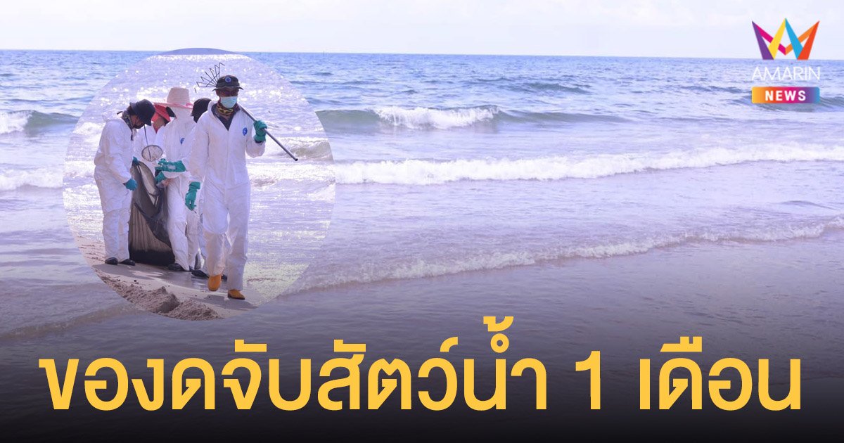 รวม 8 สถานที่ยอดฮิต ถ่ายรูป หาดแม่รำพึง (จังหวัดระยอง) 2567 ต้องไป