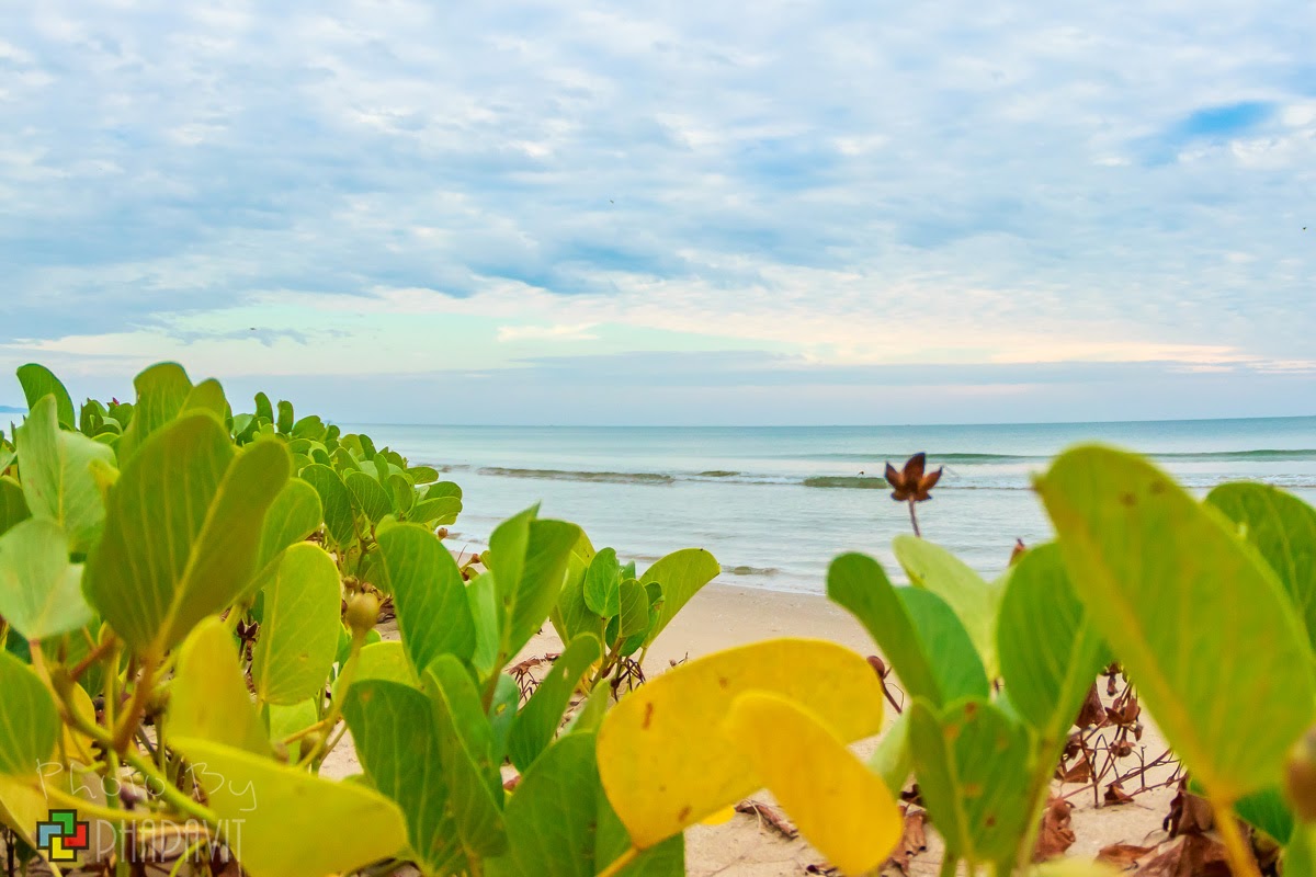 รวม 10 พิกัด ที่เที่ยวในตัวเมืองเ หาดแม่รำพึง (จังหวัดระยอง) 2567 เที่ยวชิล วิวสวย ไปกี่ทีก็ไม่เบื่อ