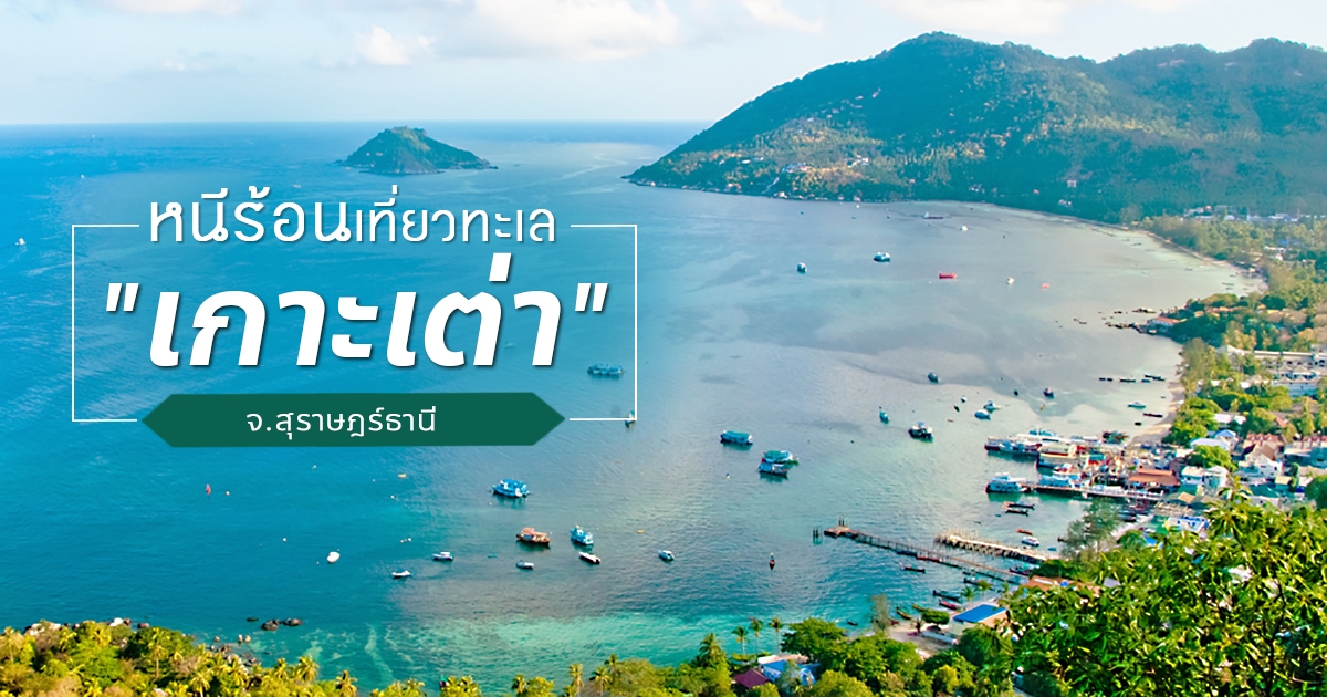 รีวิวสถานที่เที่ย เกาะเต่า (จังหวัดสุราษฎร์ธานี) เมืองสงบที่มีเสน่ห์ เที่ยวได้ทั้งปีม่วนแต๊ๆ