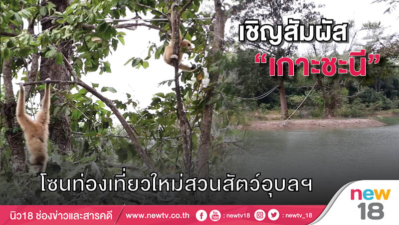 รวม 10 พิกัด ที่เที่ยวในตัวเมืองเ หาดปากน้ำประแส (จังหวัดระยอง) 2567 สุดโรแมนติกที่คุณไม่ควรพลาด